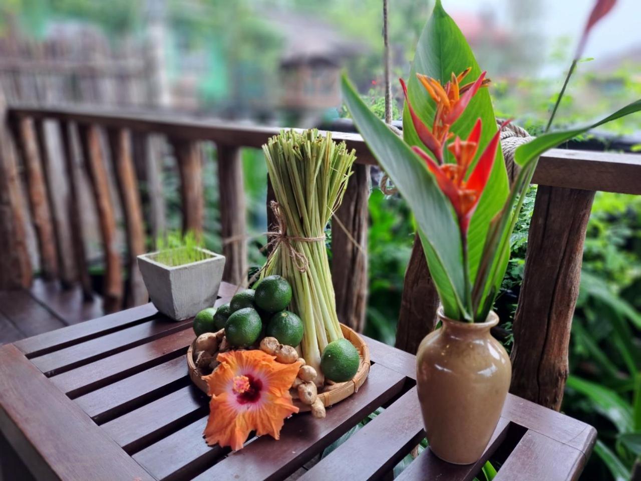 Hoi An Chic - Green Retreat מראה חיצוני תמונה