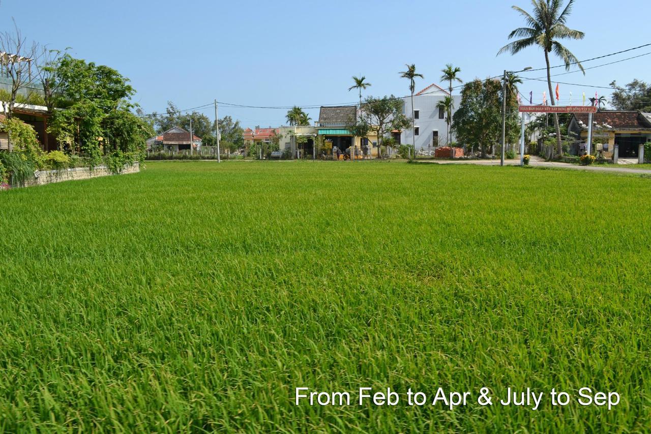 מלון Hoi An Chic - Green Retreat מראה חיצוני תמונה