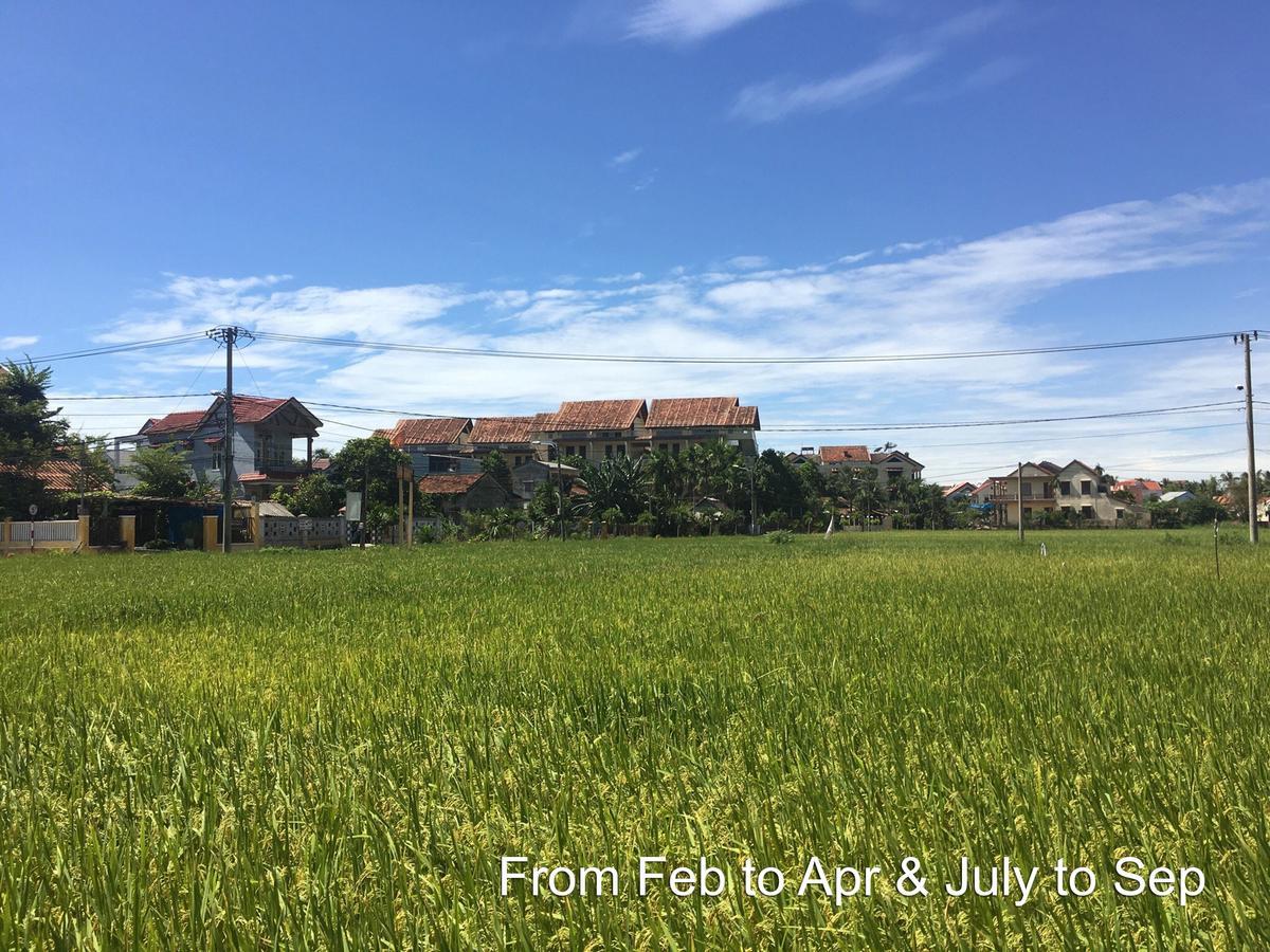 מלון Hoi An Chic - Green Retreat מראה חיצוני תמונה