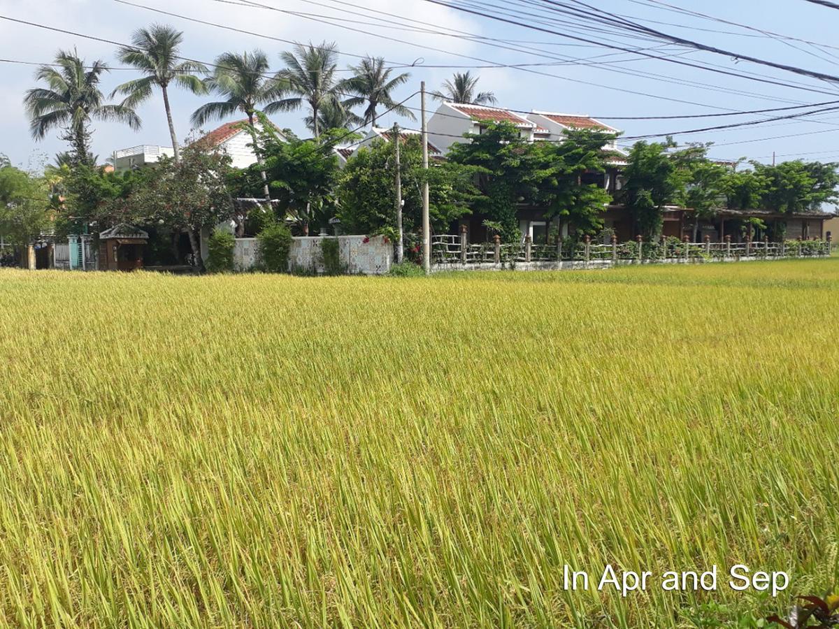 מלון Hoi An Chic - Green Retreat מראה חיצוני תמונה